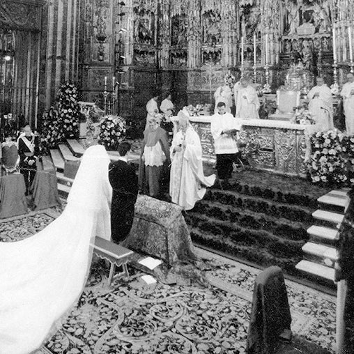 Historia de Flores Bucaro.