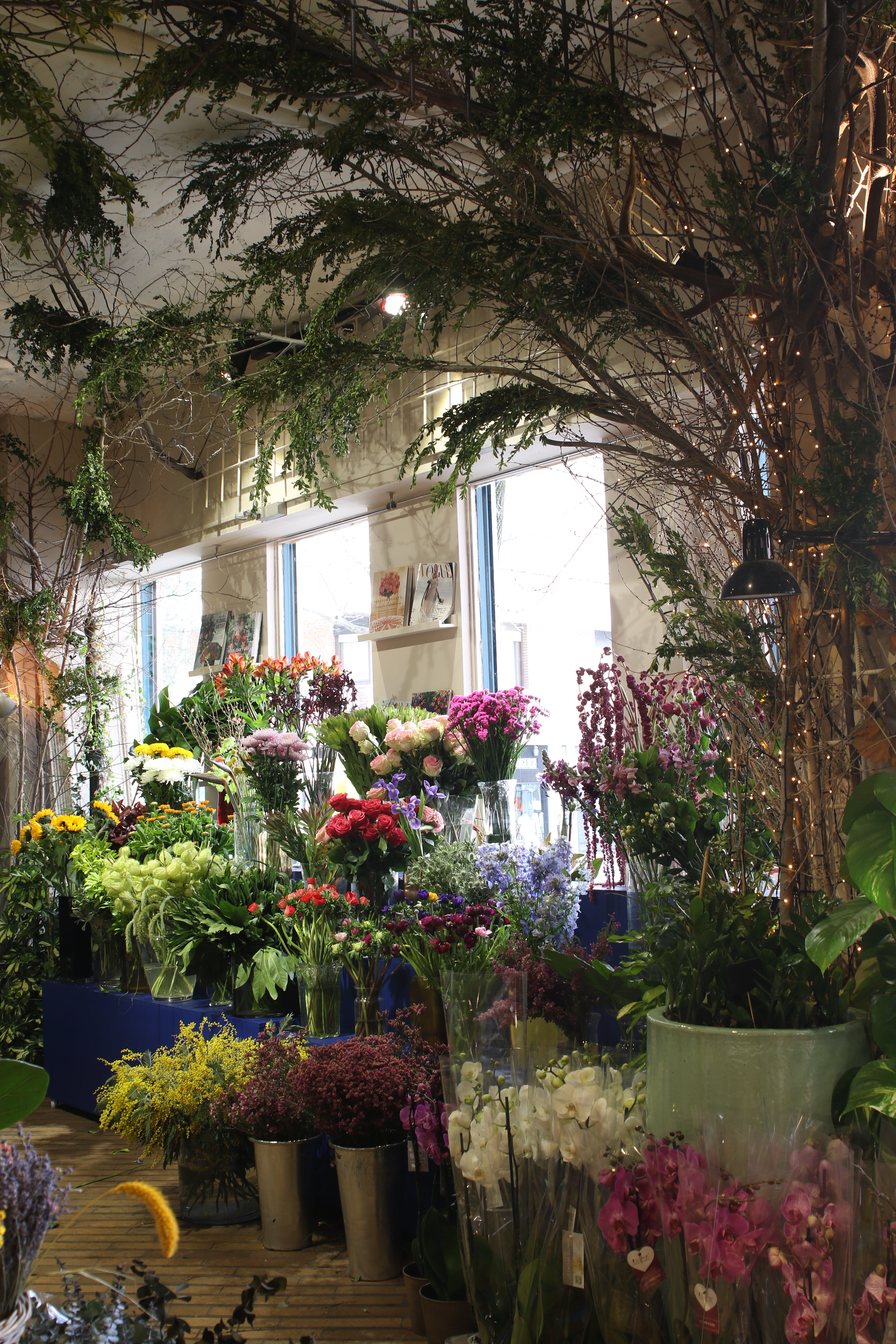 Interiores llenos de flores dentro de la tienda de Búcaro en Madrid.