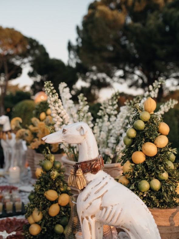 Eventos con flores. Búcaro realiza todo tipo de decoraciones y arreglos florarles para bodas y eventos. 